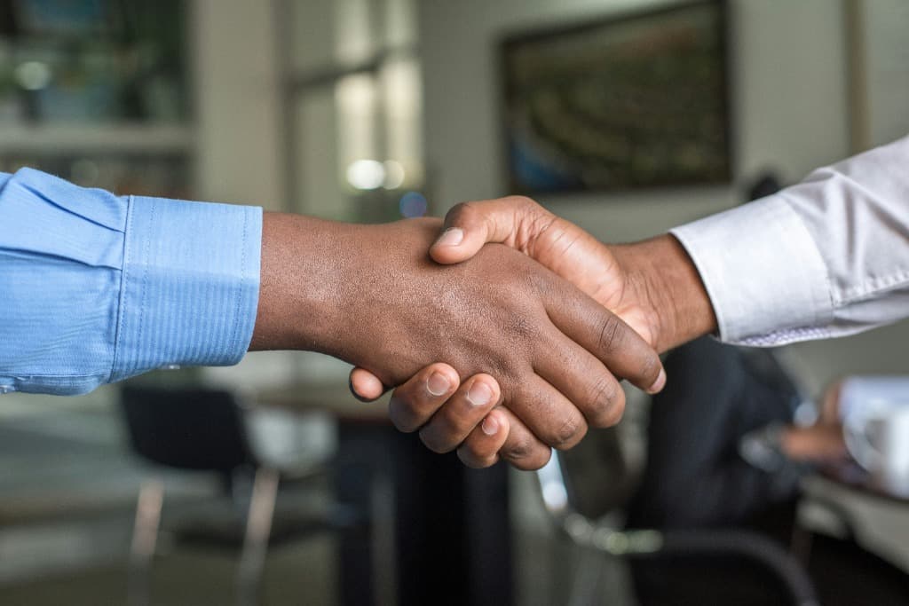 Partnership and collaboration - two professionals shaking hands